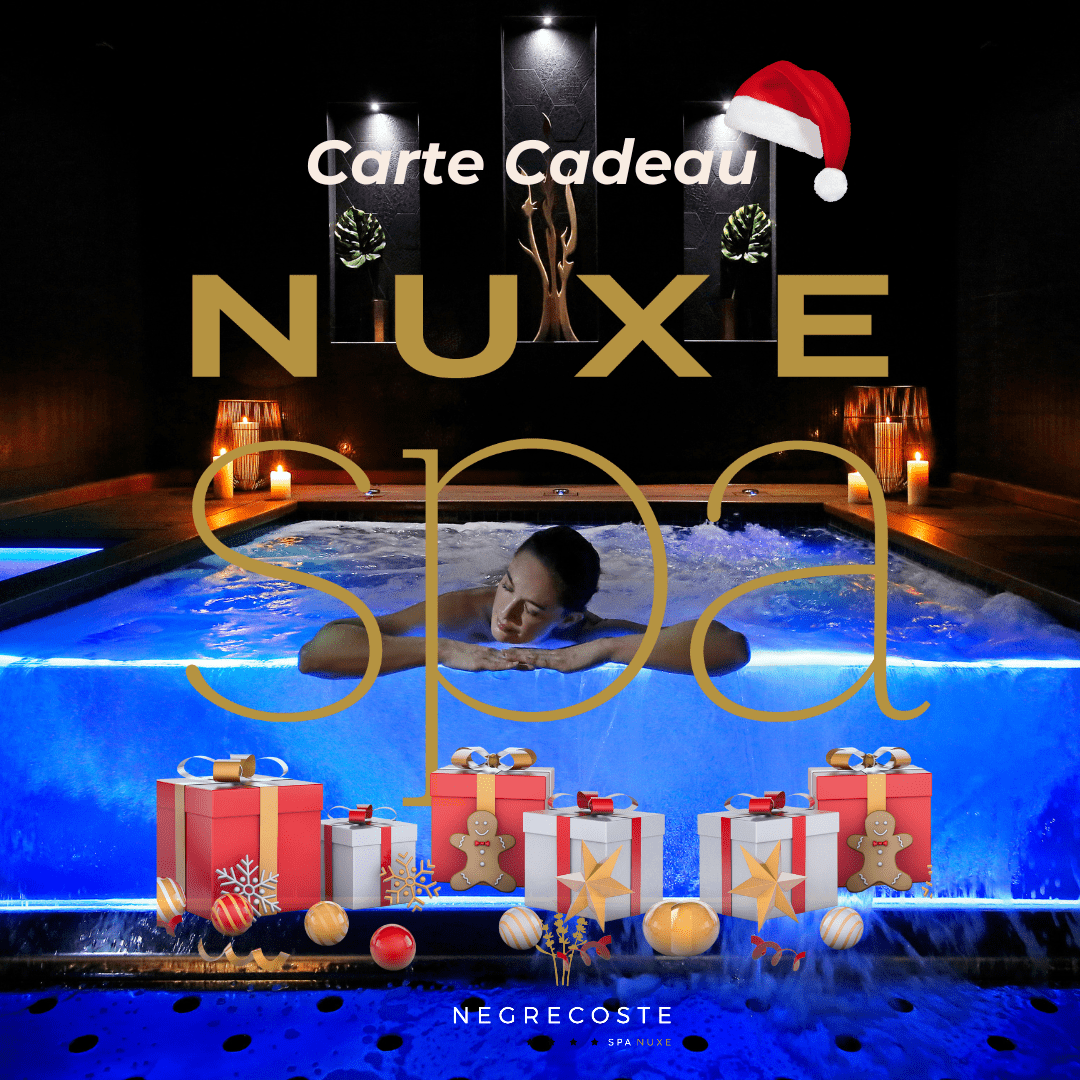 Des Fêtes Magiques Bons Cadeaux Spa Nuxe Pour Noël Hôtel Negrecoste